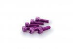 Skrūves PUIG 0146L ANODIZED violets M5 x 15 mm (6 gab.)