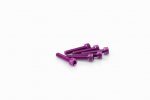 Skrūves PUIG 0185L ANODIZED violets M5 x 25mm (6pcs)