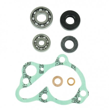 Ūdens sūkņa blīvju komplekts ATHENA P400210475007 + bearings